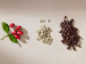 Кофе в капсулах Nespresso Vertuo ALTO AMBRATO