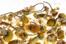 Althaus Chamomile Meadow - Ромашковый Луг, 75 гр.