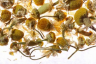 Althaus Chamomile Meadow - Ромашковый Луг, 75 гр.