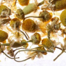 Althaus Chamomile Meadow - Ромашковый Луг, 75 гр.